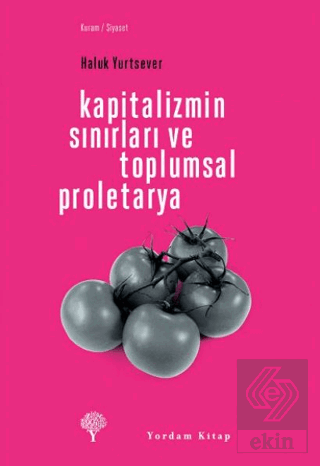 Kapitalizmin Sınırları ve Toplumsal Proletarya
