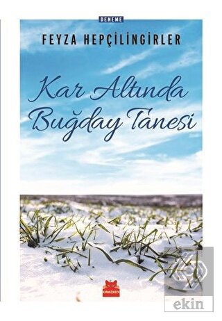 Kar Altında Buğday Tanesi