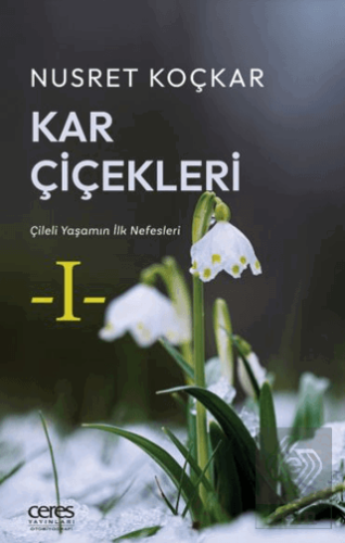 Kar Çiçekleri