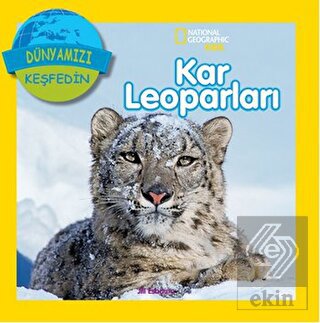Kar Leoparları