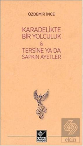 Kara Delikte Bir Yolculuk ve Tersine ya da Sapkın