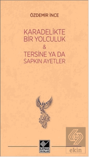 Kara Delikte Bir Yolculuk ve Tersine ya da Sapkın