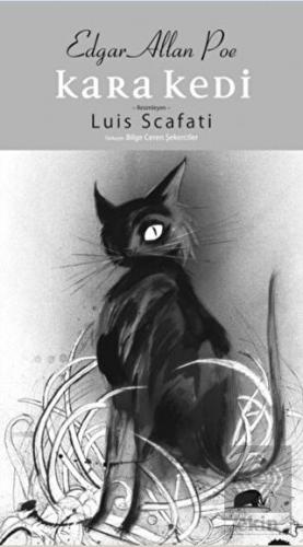 Kara Kedi
