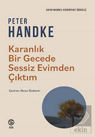 Karanlık Bir Gecede Sessiz Evimden Çıktım
