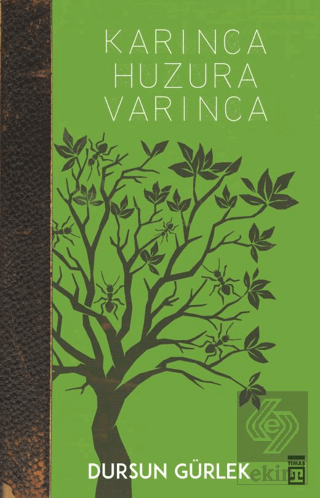 Karınca Huzura Varınca