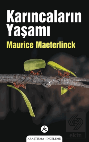 Karıncaların Yaşamı