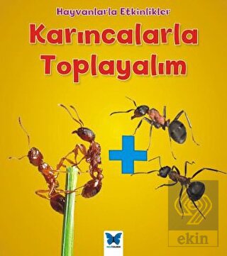 Karıncalarla Toplayalım