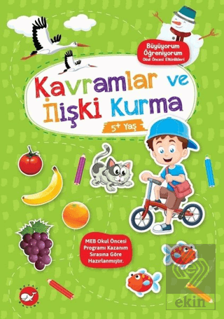 Kavramlar ve İlişki Kurma 5+ Yaş - Büyüyorum Öğren