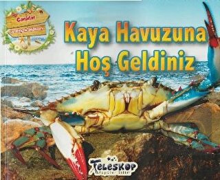 Kaya Havuzuna Hoş Geldiniz