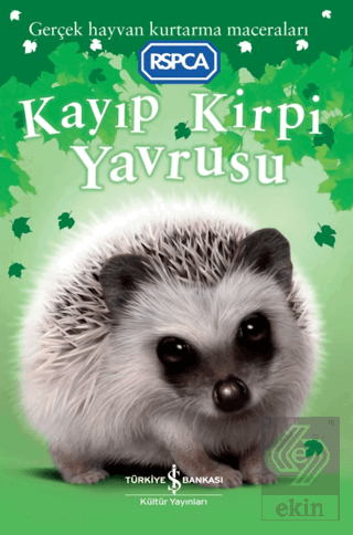 Kayıp Kirpi Yavrusu