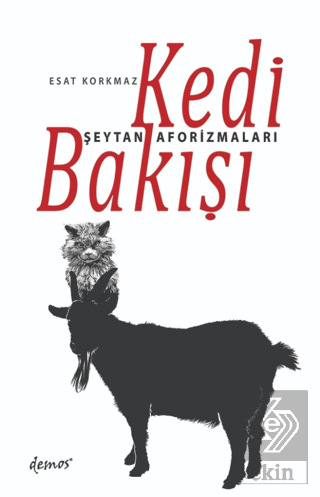 Kedi Bakışı