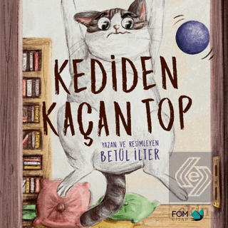 Kediden Kaçan Top