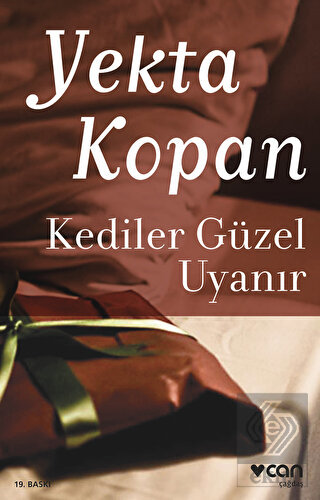 Kediler Güzel Uyanır