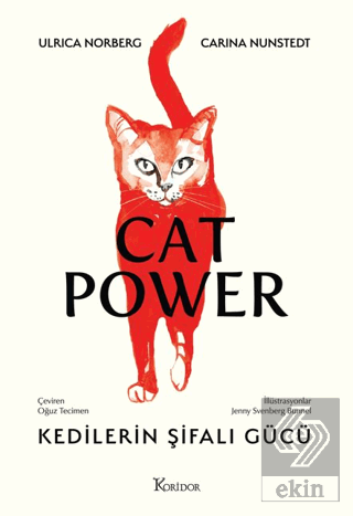 Kedilerin Şifalı Gücü