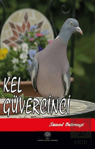 Kel Güvercinci