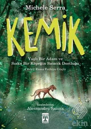 Kemik