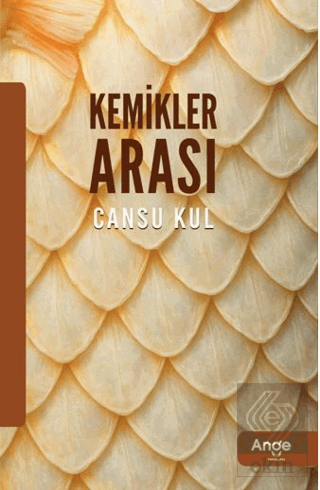 Kemikler Arası
