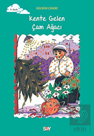 Kente Gelen Çam Ağacı