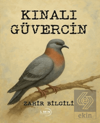 Kınalı Güvercin