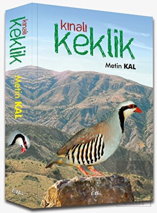 Kınalı Keklik