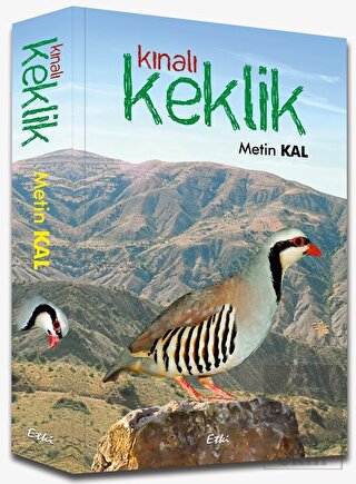 Kınalı Keklik