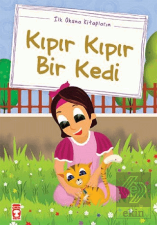 Kıpır Kıpır Bir Kedi (Düz Yazılı)