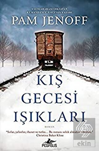 Kış Gecesi Işıkları