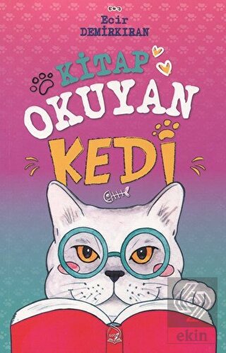 Kitap Okuyan Kedi