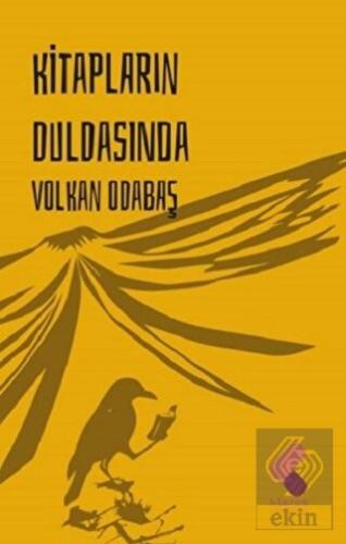 Kitapların Duldasında