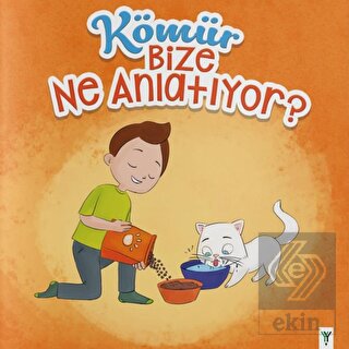 Kömür Bize Ne Anlatıyor?
