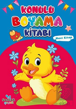 Konulu Boyama Kitabı - Mavi Kitap