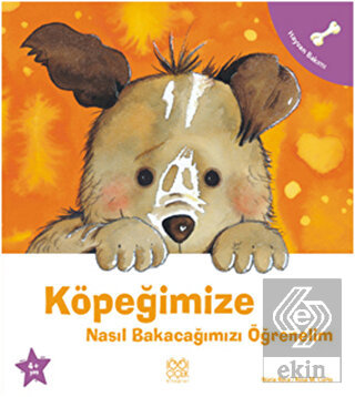 Köpeğimize Nasıl Bakacağımızı Öğrenelim