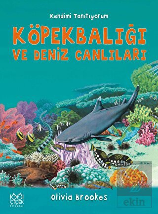 Köpek Balığı ve Deniz Canlılarına Soralım