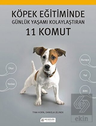 Köpek Eğitiminde Günlük Yaşamı Kolaylaştıran 11 Ko