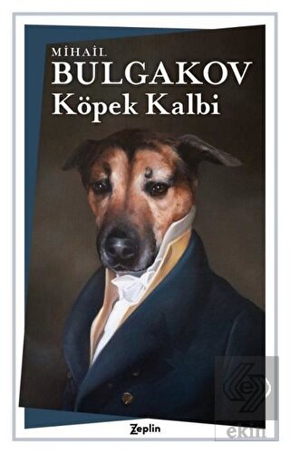Köpek Kalbi