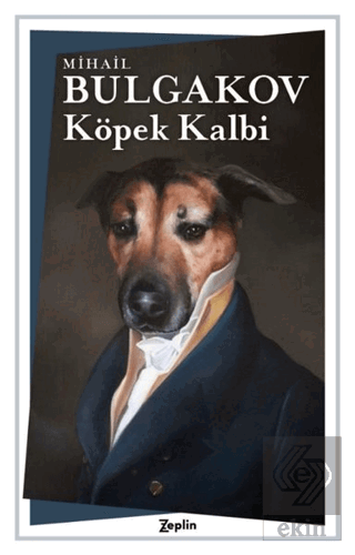 Köpek Kalbi