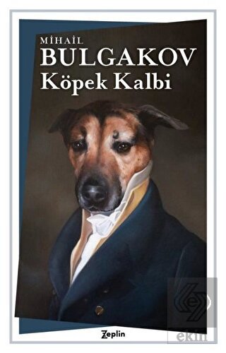 Köpek Kalbi