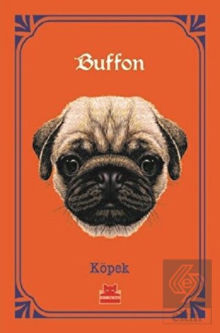 Köpek