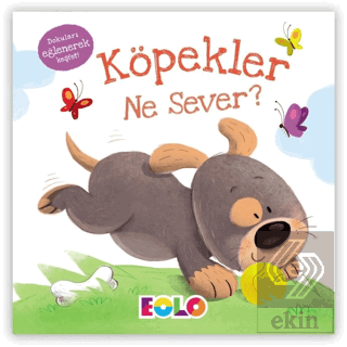 Köpekler Ne Sever?