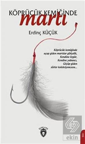 Köprücük Kemiğinde Martı