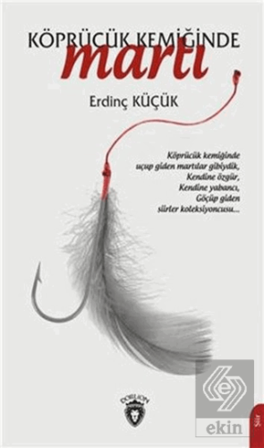 Köprücük Kemiğinde Martı