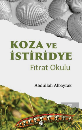Koza ve İstiridye Fıtrat Okulu