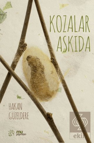 Kozalar Askıda