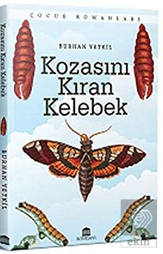 Kozasını Kıran Kelebek