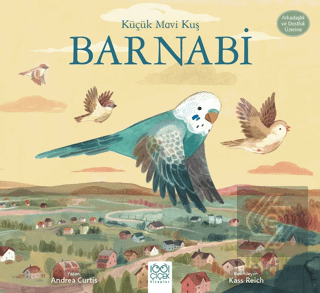 Küçük Mavi Kuş Barnabi