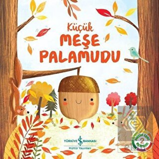 Küçük Meşe Palamudu - Doğanın Eşsiz Hikayeleri 2