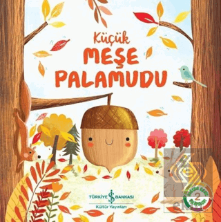 Küçük Meşe Palamudu - Doğanın Eşsiz Hikayeleri 2