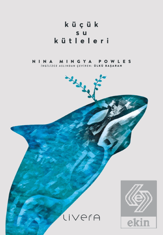 Küçük Su Kütleleri