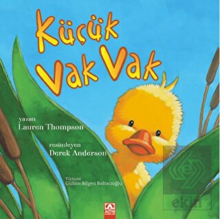 Küçük Vak Vak