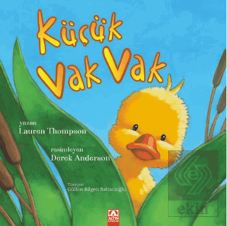 Küçük Vak Vak